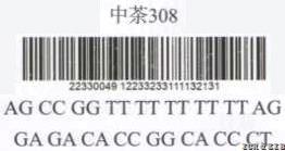 Zhongcha 308